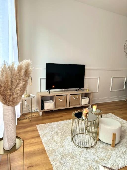 Appartement Avec Magnifique Vue Sur La Saone Et Son Balcon Chalon-sur-Saône Dış mekan fotoğraf
